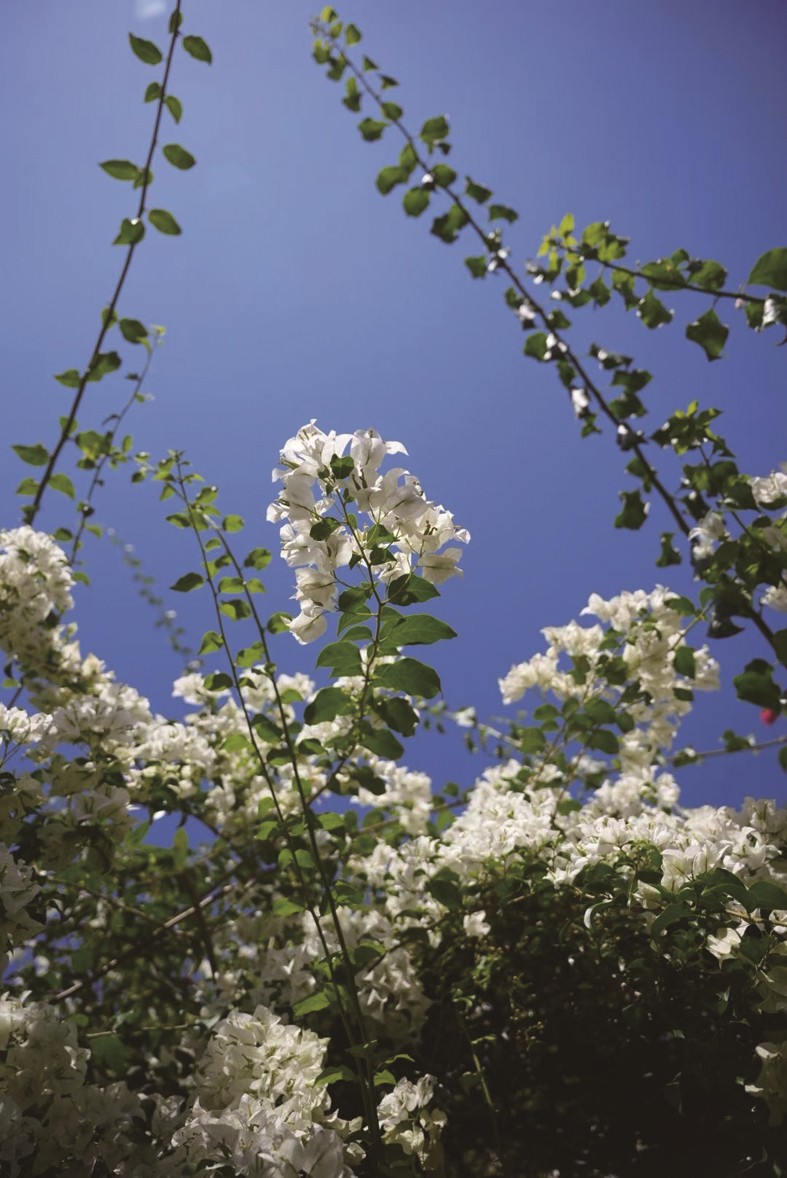 1764661057950459.jpg 03-3.jpg