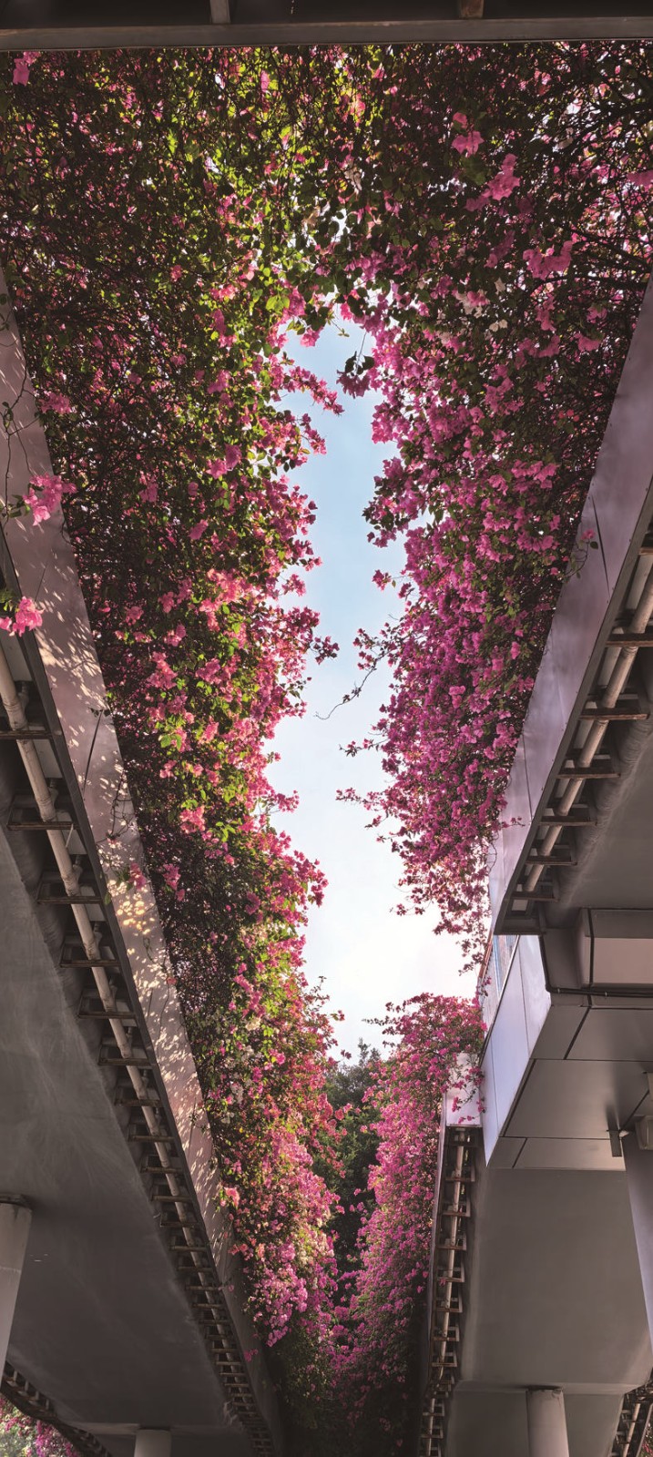 1764661111166661.jpg 03-10.jpg