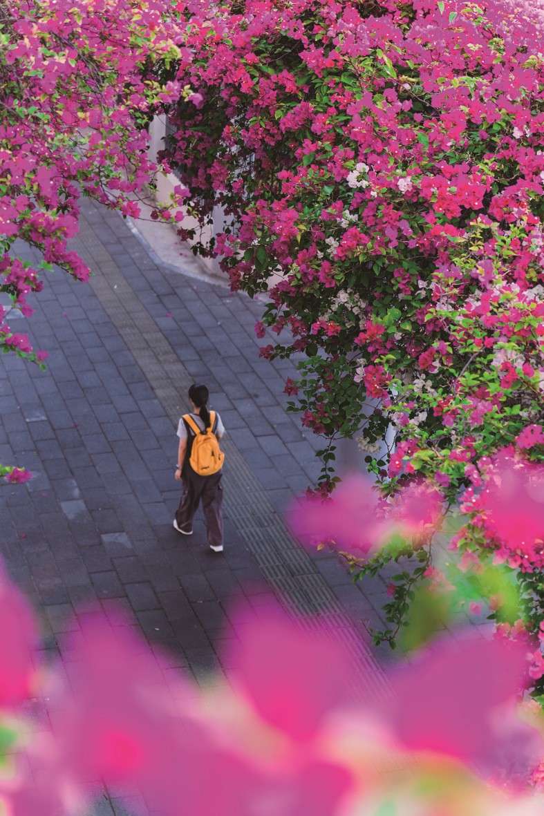 1764661182926433.jpg 03-11.jpg