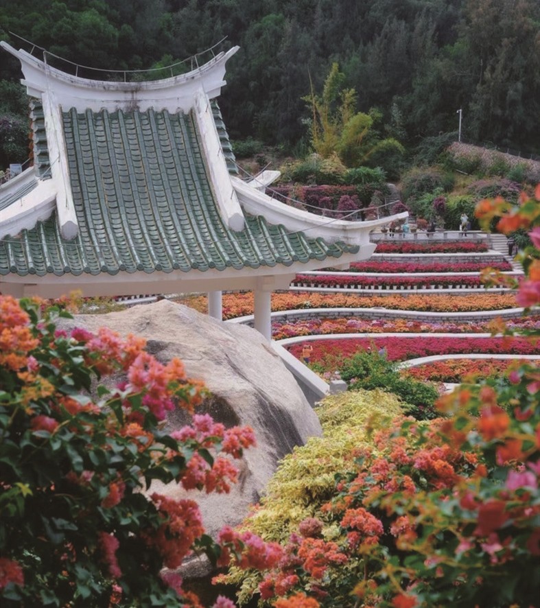 1764661244427784.jpg 03-8.jpg