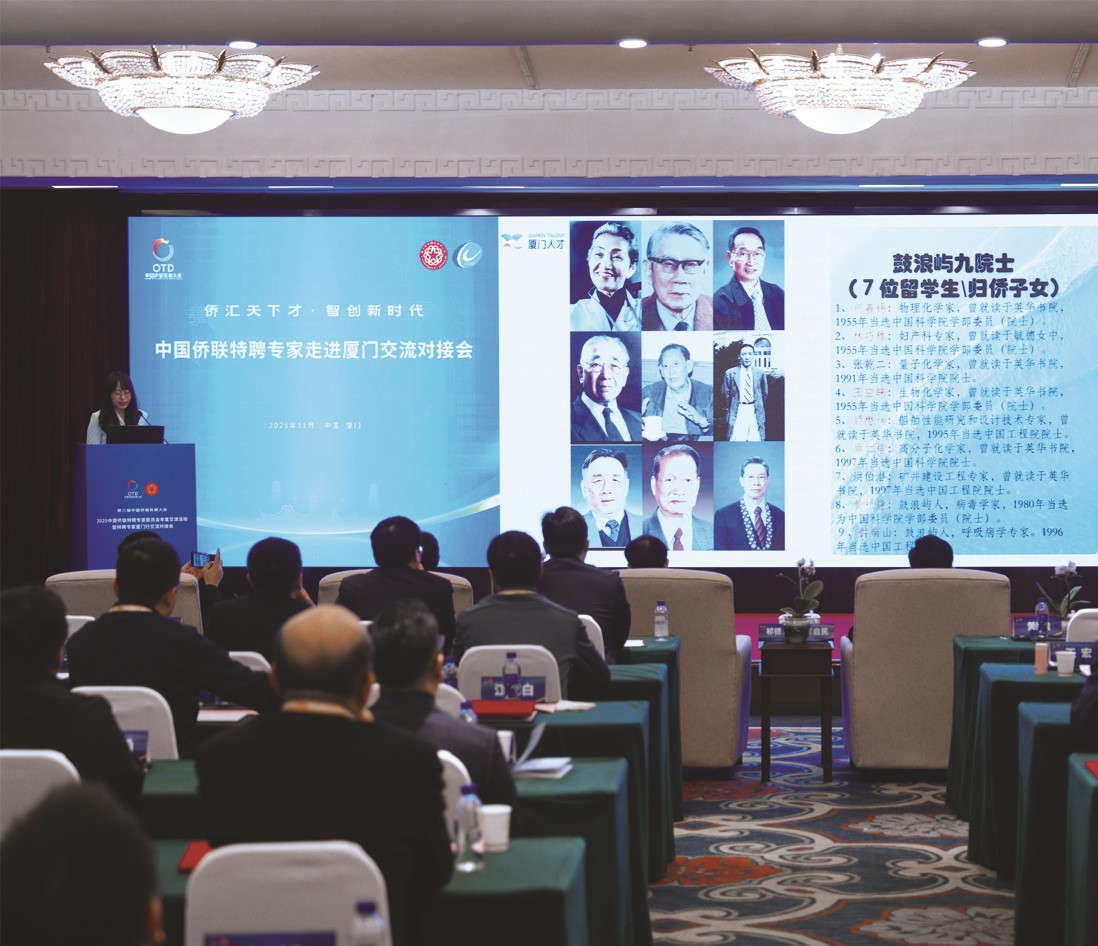 1765266321370981.jpg 03-6.jpg