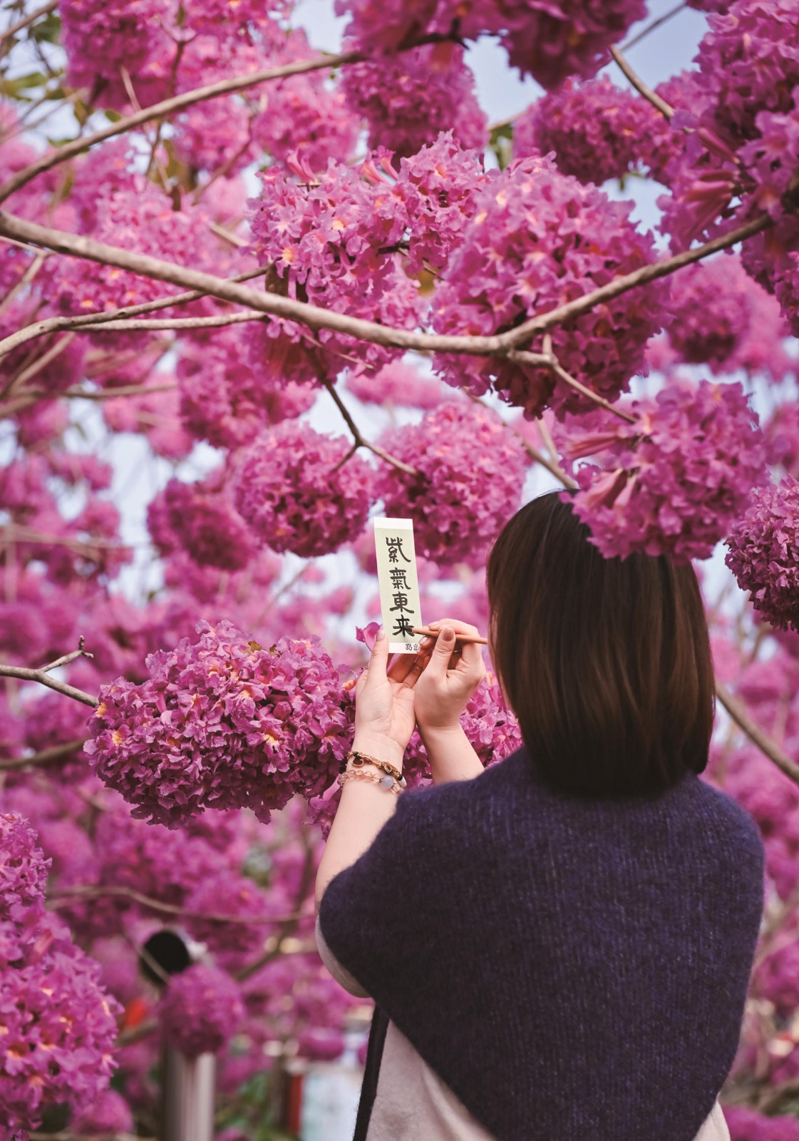 1767063226268452.jpg 03-12.jpg