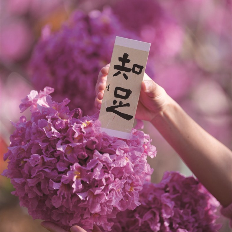 1767063239585954.jpg 03-10.jpg