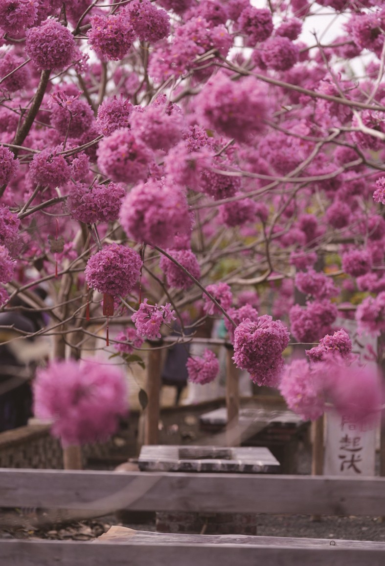 1767063363315555.jpg 03-7.jpg